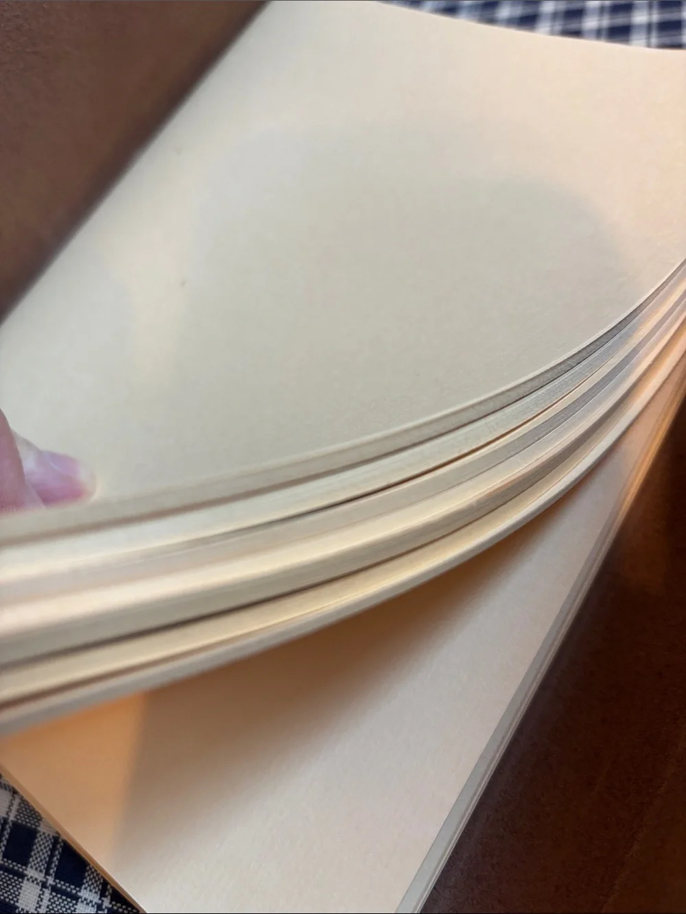 Barnes & Noble Dark Brown Leather Wrap Journal